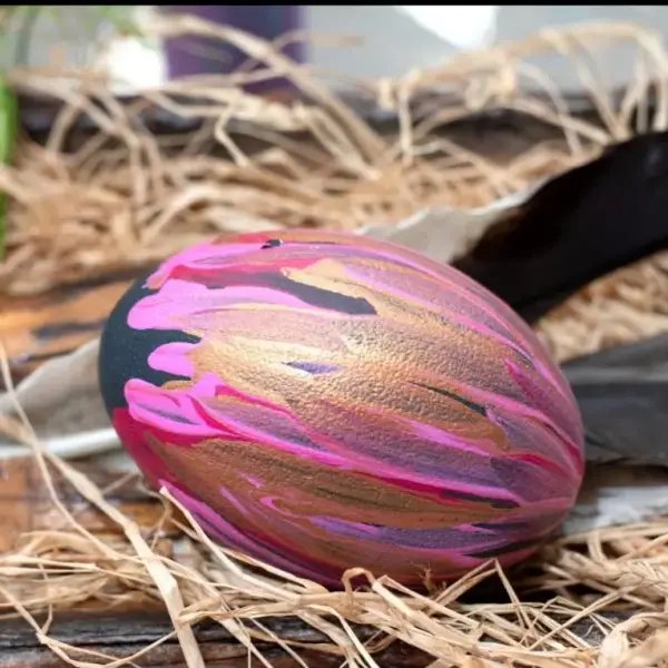Painted emu egg by Renae Lamb